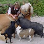 Fütterung sämtlicher "Raubtiere".