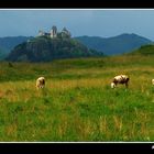 Füzér Castle (Füzér/Hungary)