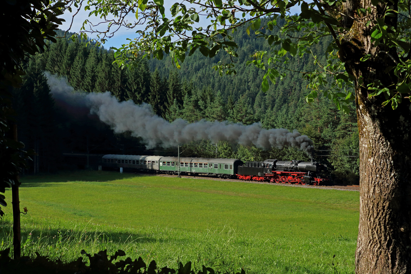 Fuffi im Schwarzwald