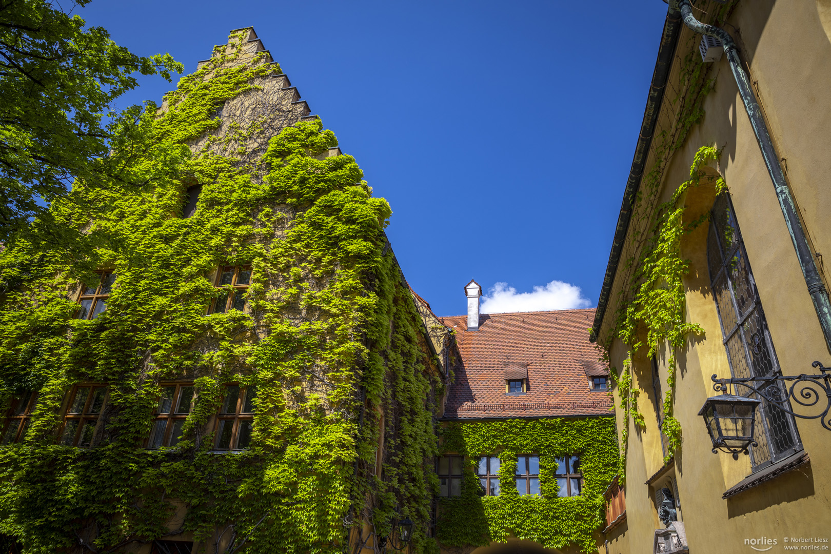 Fuggerei Grün