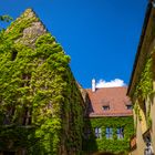 Fuggerei Grün