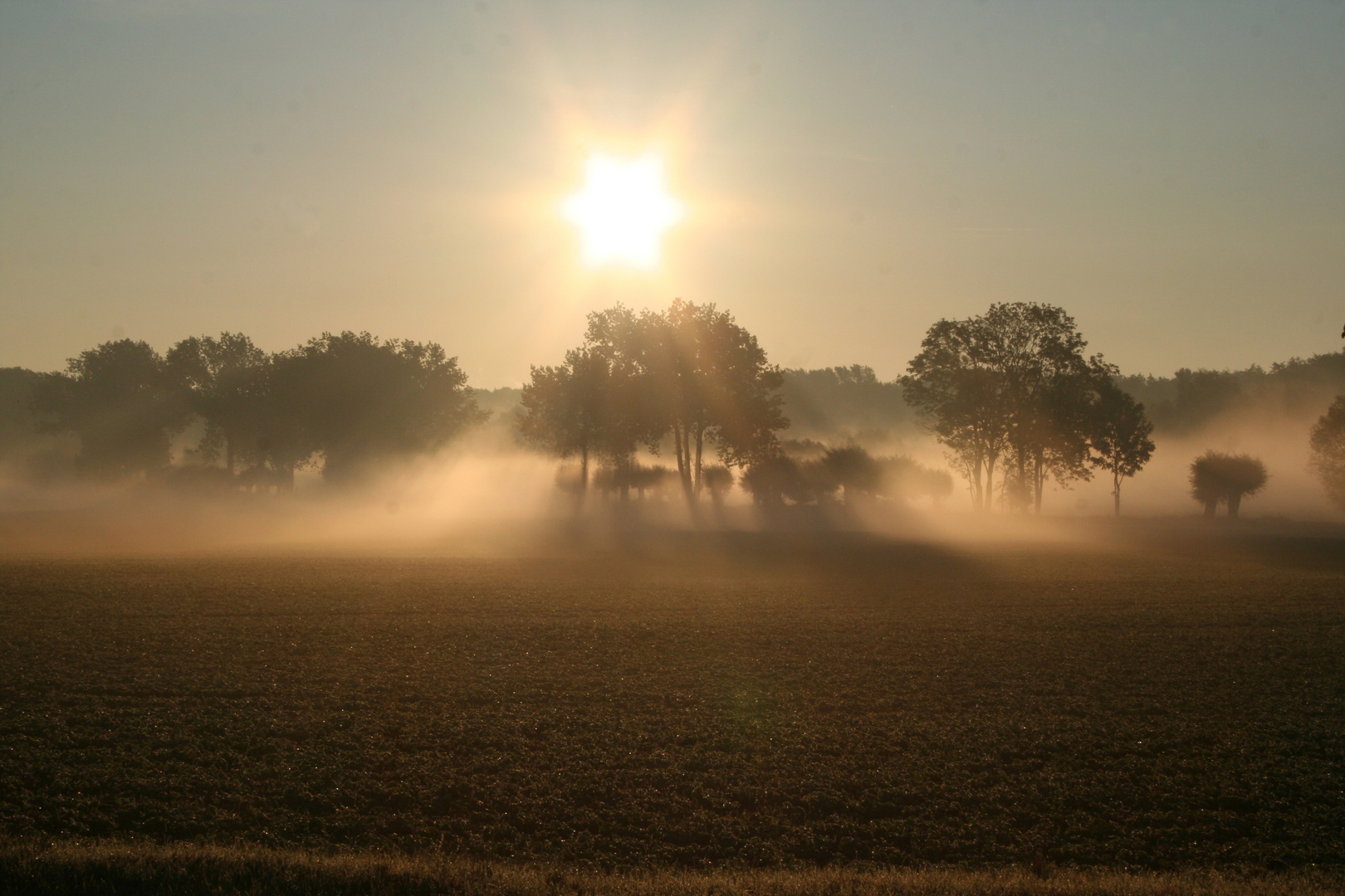 Fuhne im Nebel