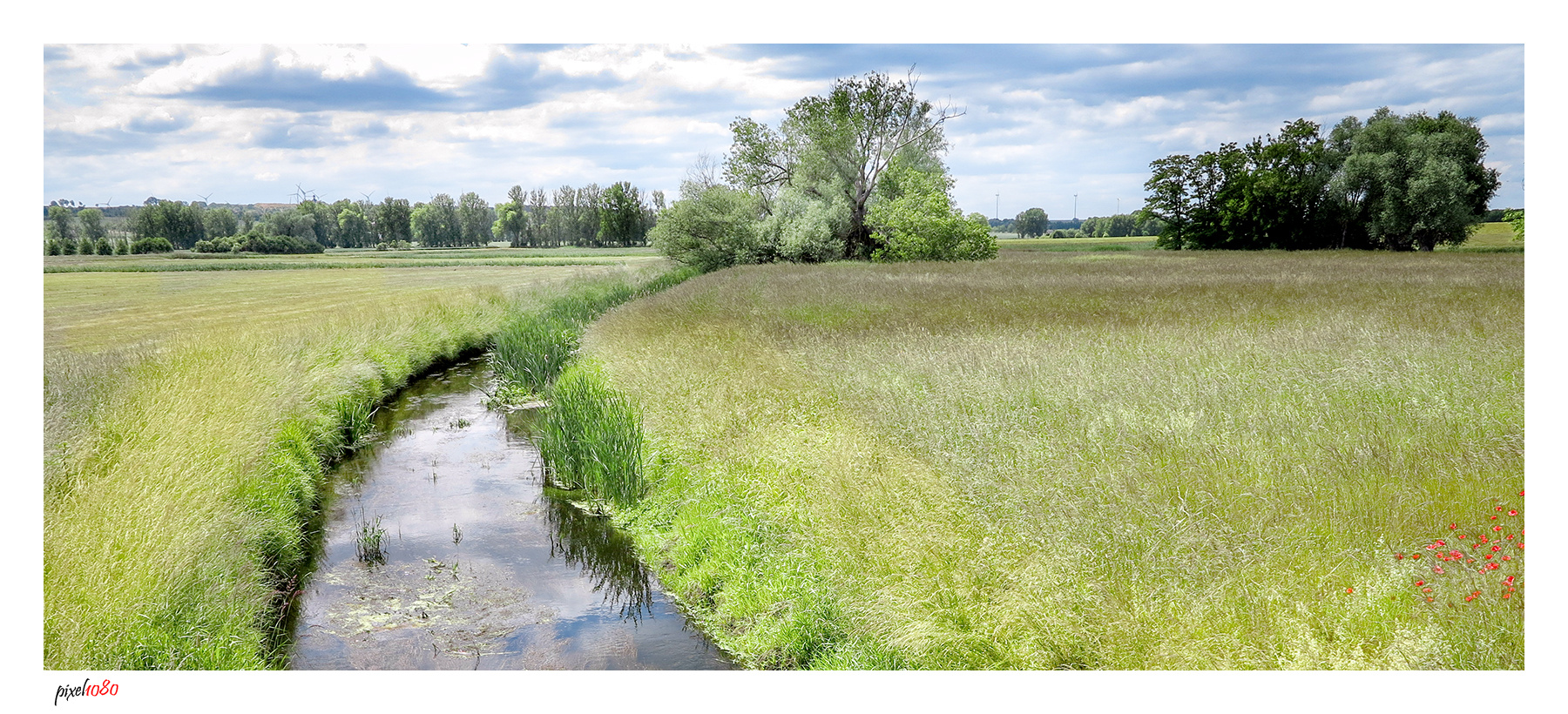 Fuhneaue, Sachsen-Anhalt