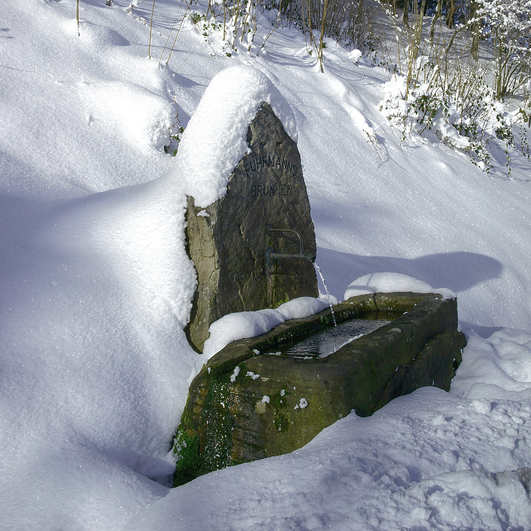 Fuhrmanns Brunnen bei Huzenbach (Nordschwarzwald)