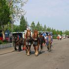 Fuhrmannstag der BAdischen Fuhrleute Rust e.V.