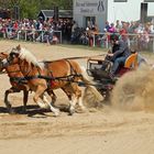 Fuhrmannstag in Kemnitz