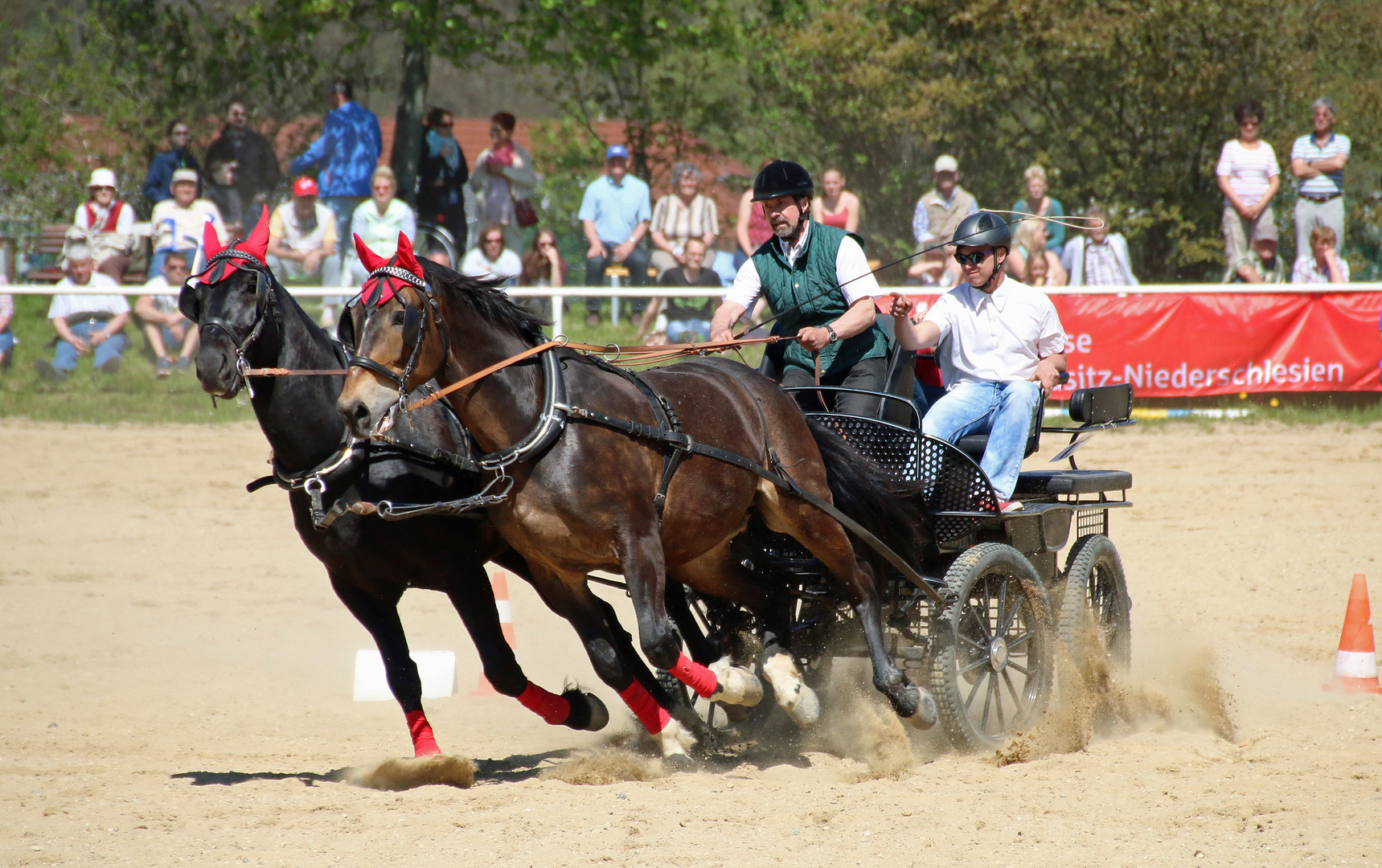 Fuhrmannstag in Kemnitz