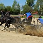 Fuhrmannstag in Kemnitz