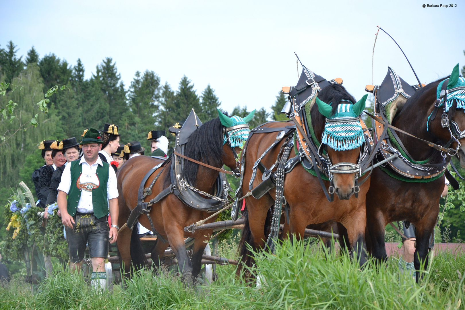 Fuhrwerk Leonhardiritt Holzhausen 2012