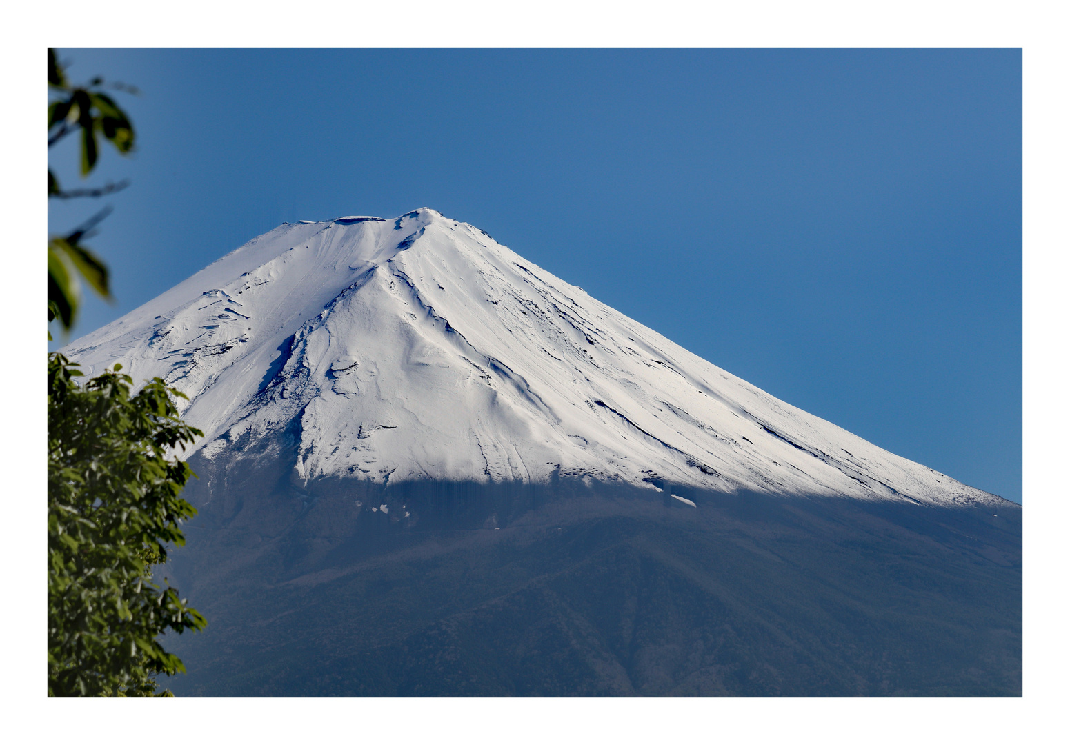 Fuji 