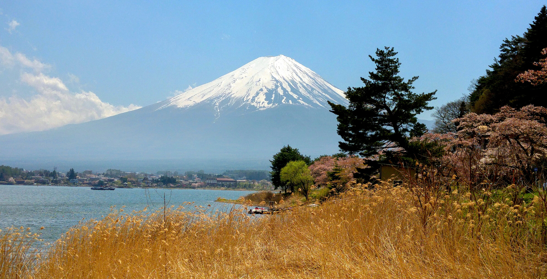 Fuji