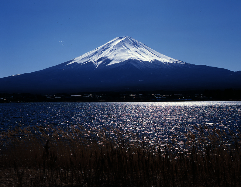 fuji