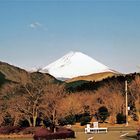 Fuji in der Morgensonne [von Hakone aus] (MW 1997/2 - jc)