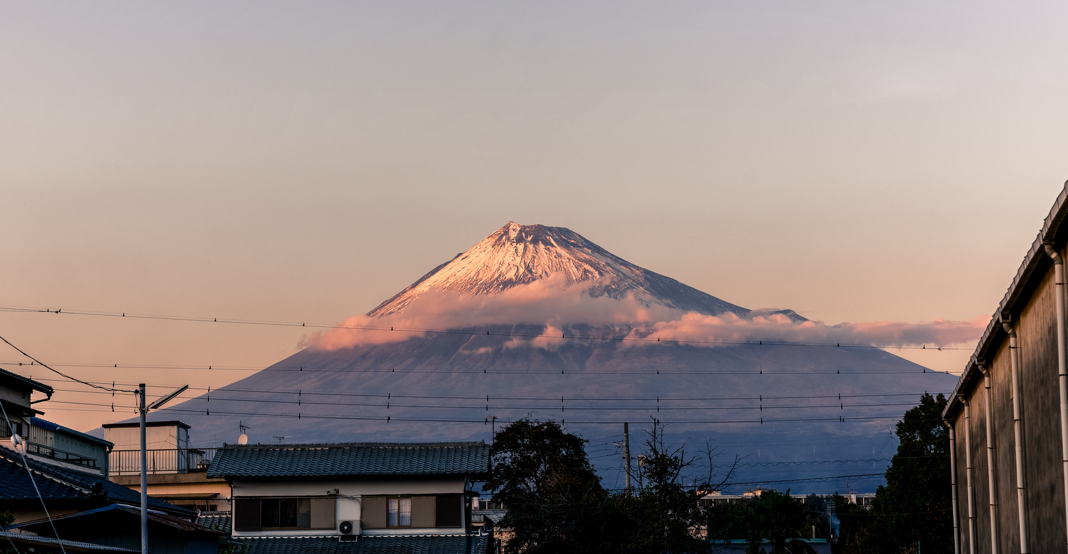 Fuji-san