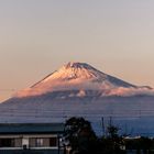 Fuji-san