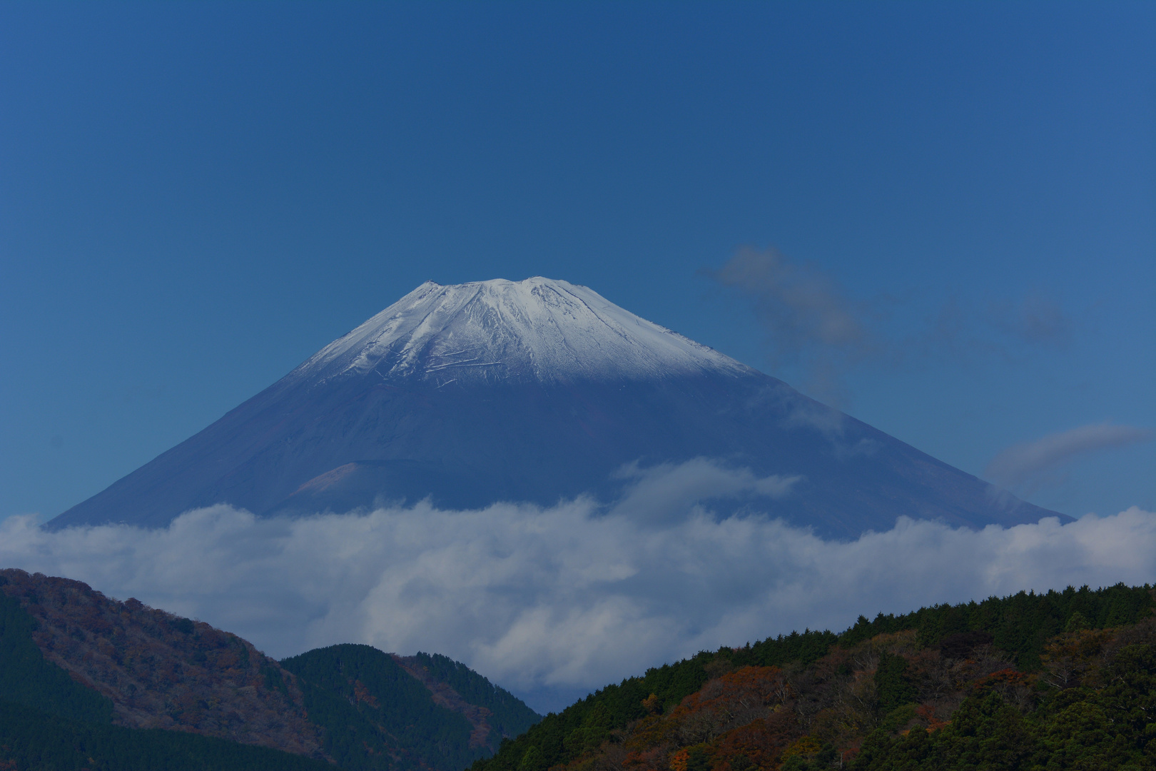 Fuji san