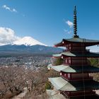 Fuji-san