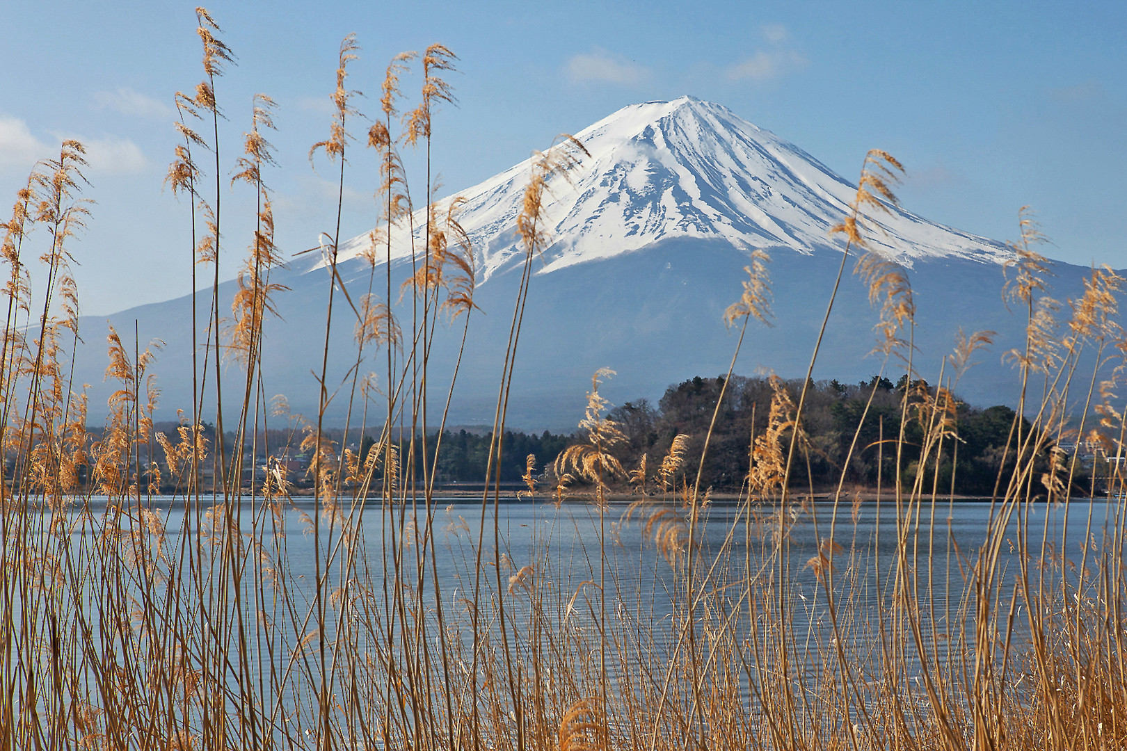 FUJI-SAN . . .