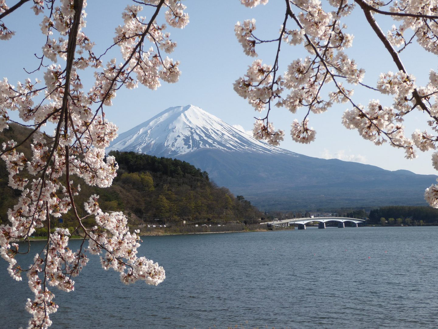 Fuji-san