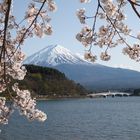 Fuji-san