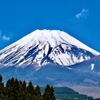 Fuji-San