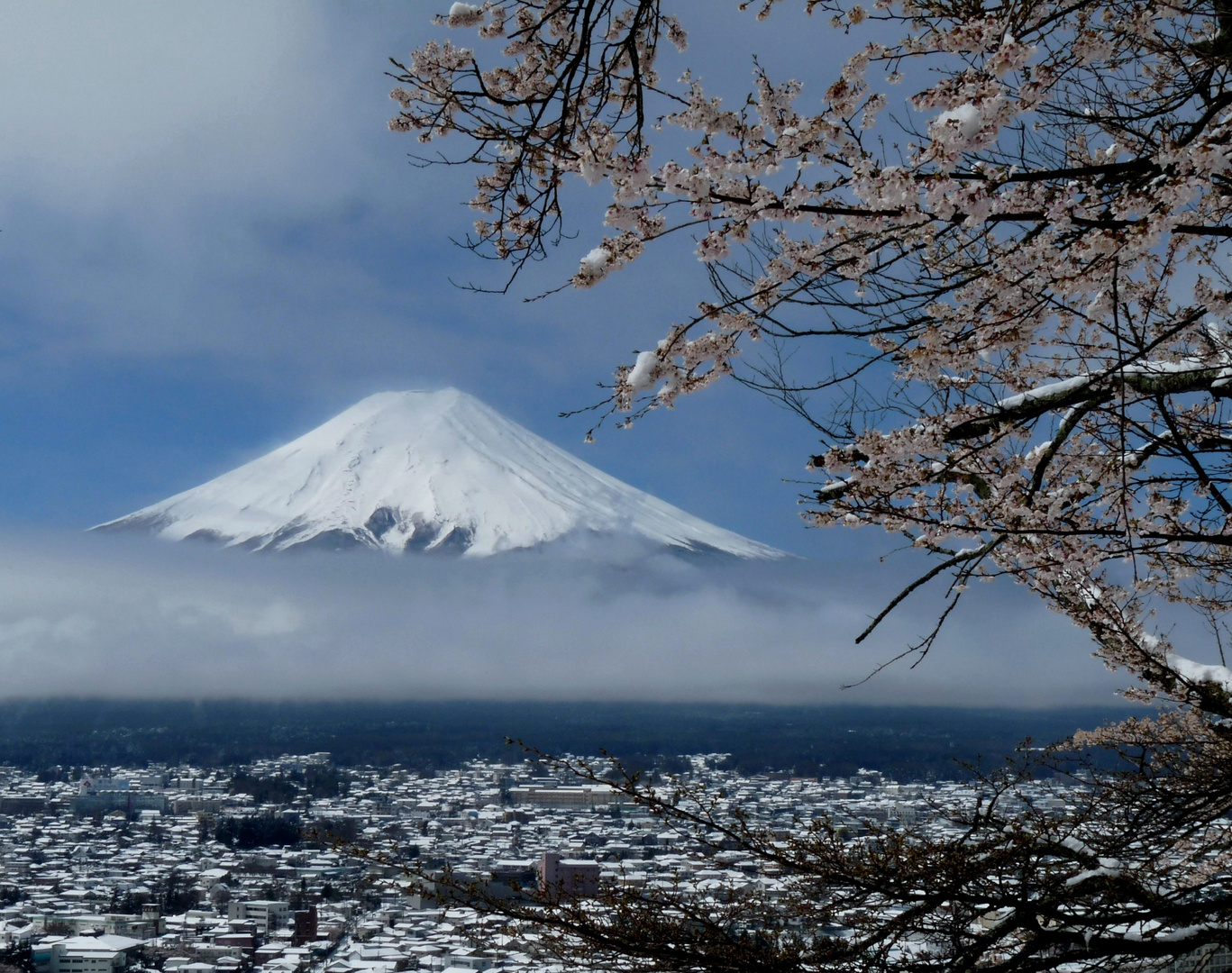 Fuji-san