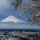 Fuji-san