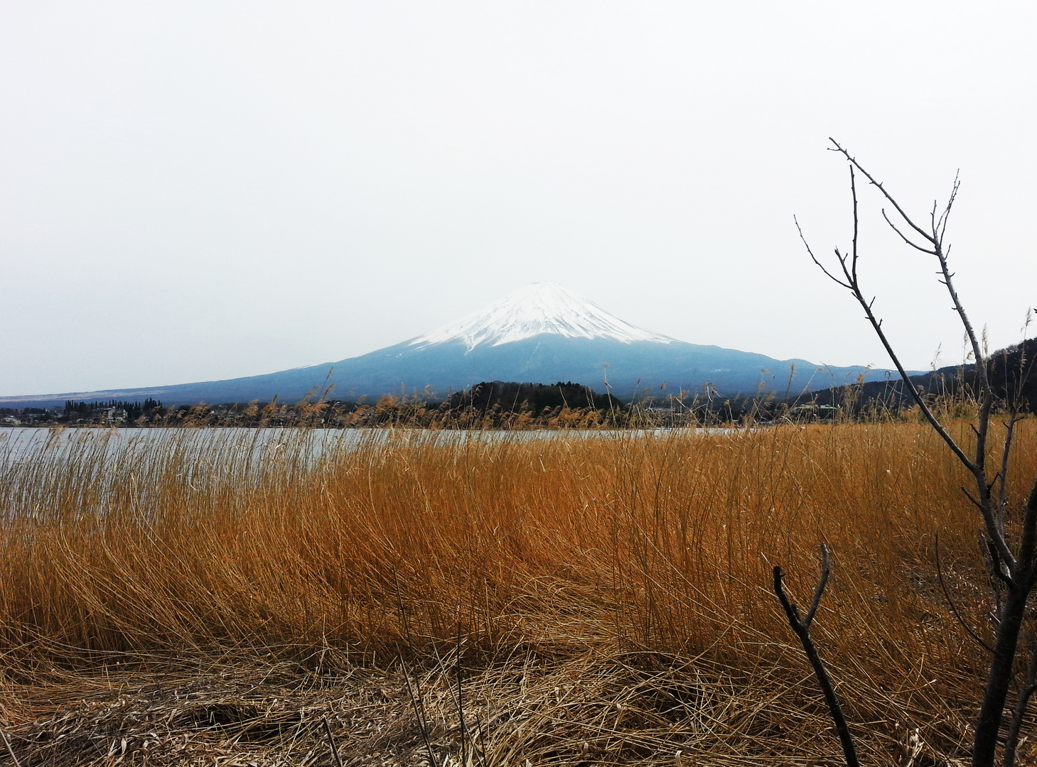 Fuji-san