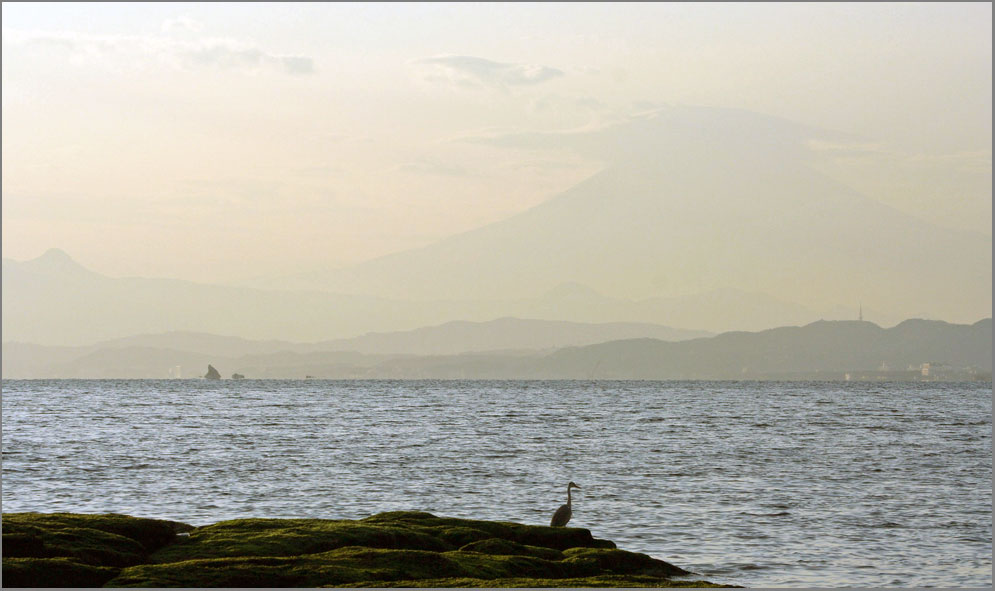 Fuji-san: a view from Enoshima