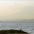 Fuji-san: a view from Enoshima