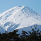 Fuji San