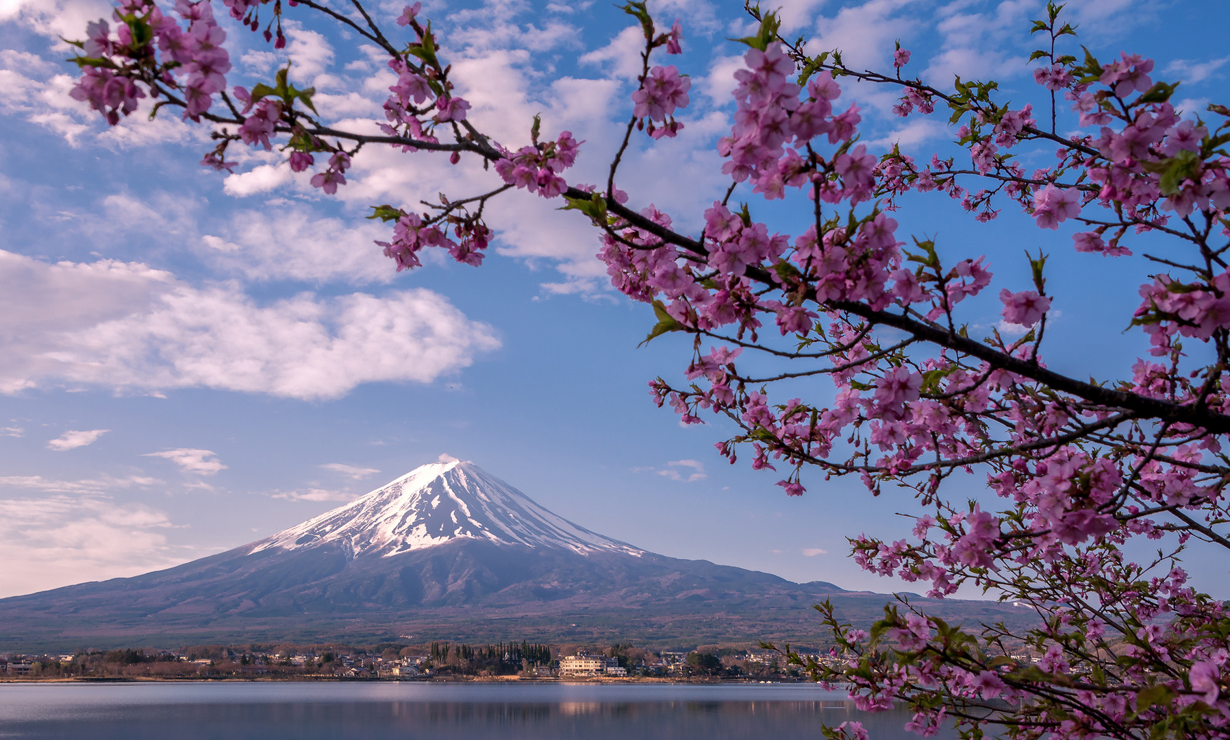 Fuji-san am Kawaguchiko Lake