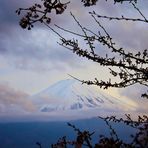 Fuji-San