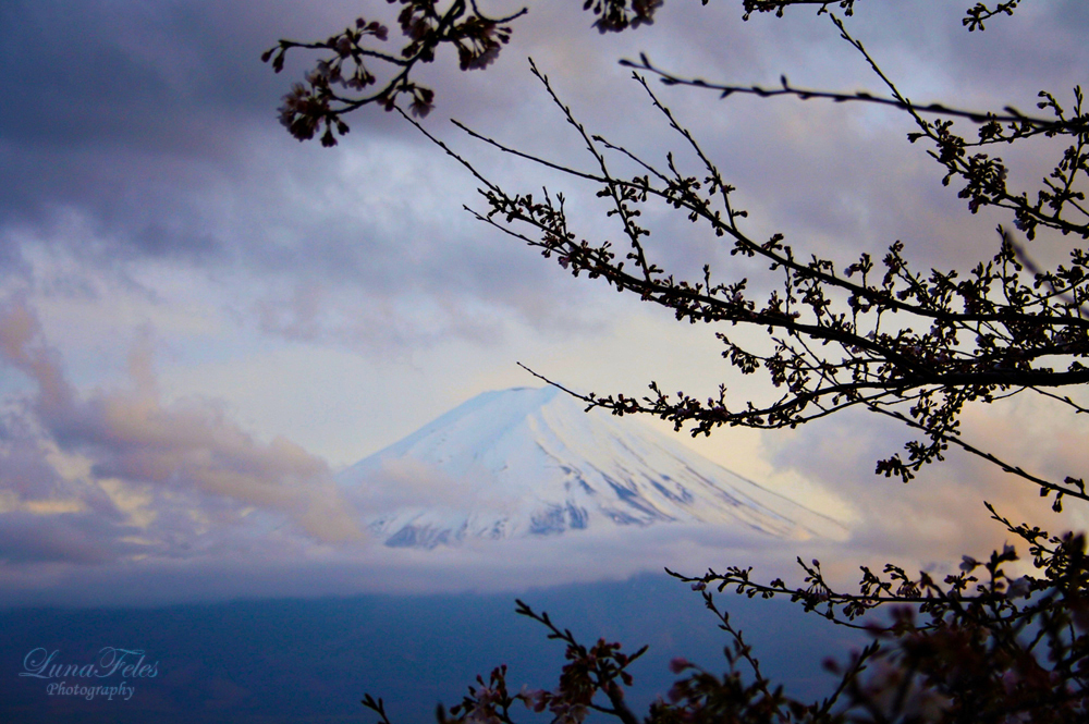 Fuji-San