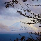 Fuji-San