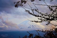 Fuji-San