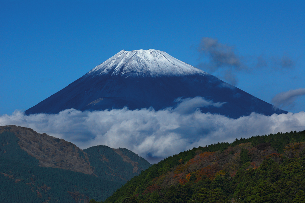 Fuji San