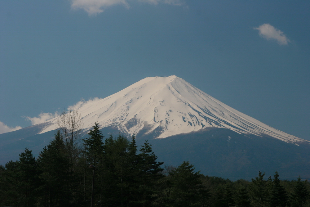 Fuji san