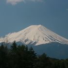 Fuji san