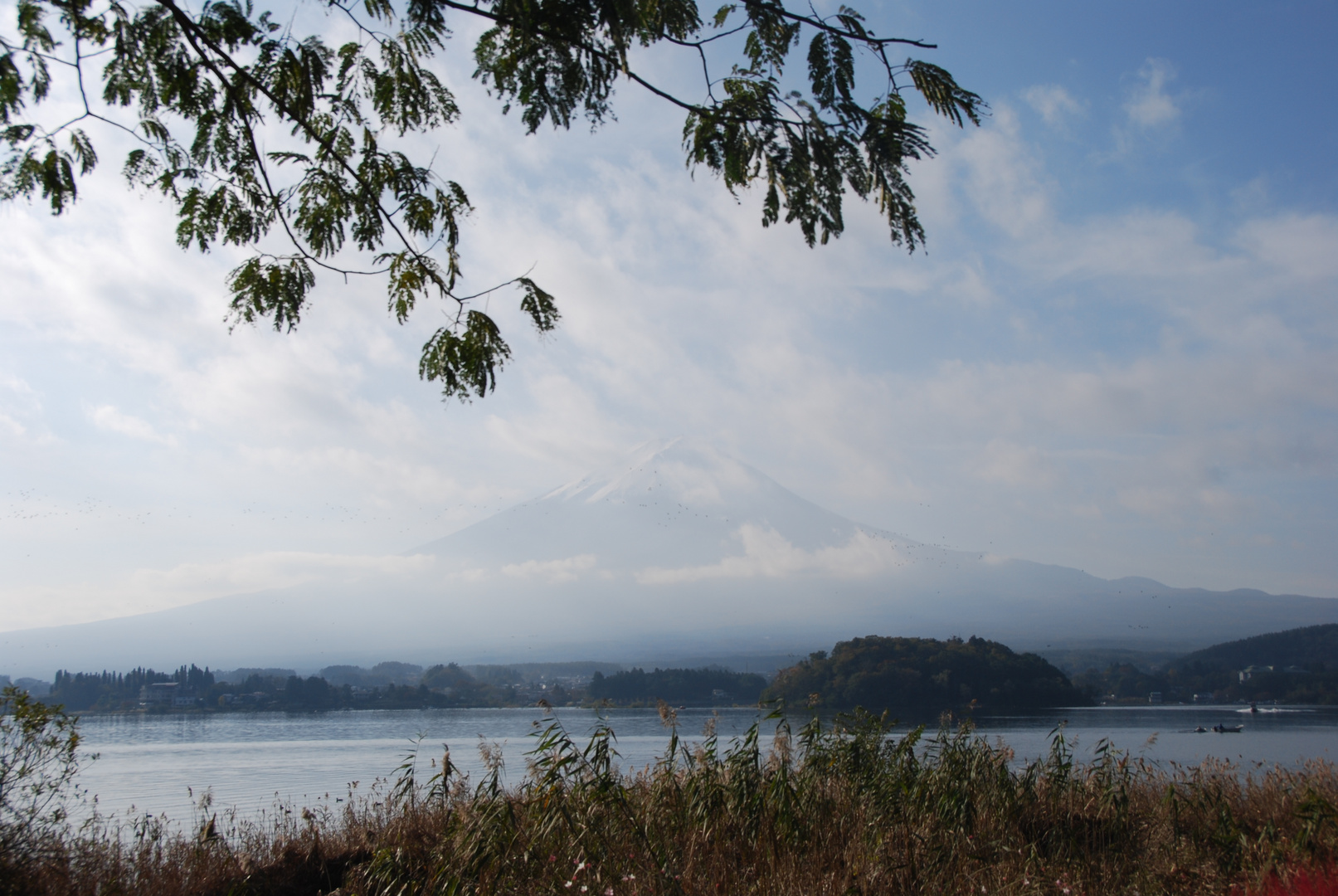 Fuji-San 