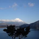 Fuji-San