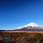 Fuji-san im Morgenlicht