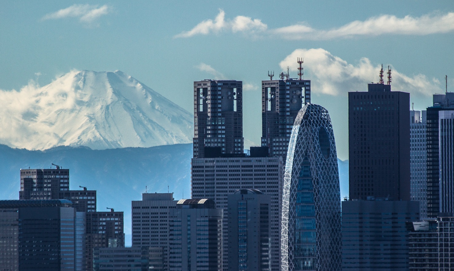 Fuji-san und Shinjuku Skyline