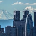 Fuji-san und Shinjuku Skyline