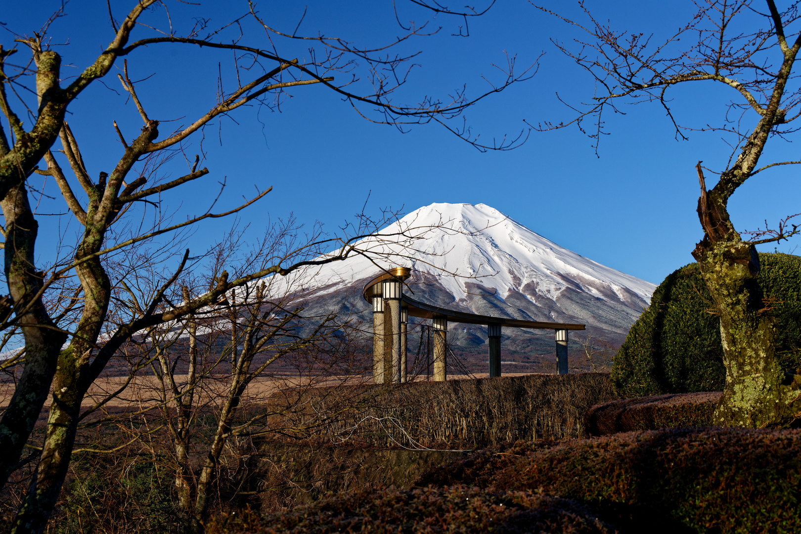 Fuji-san - Yamanaka See