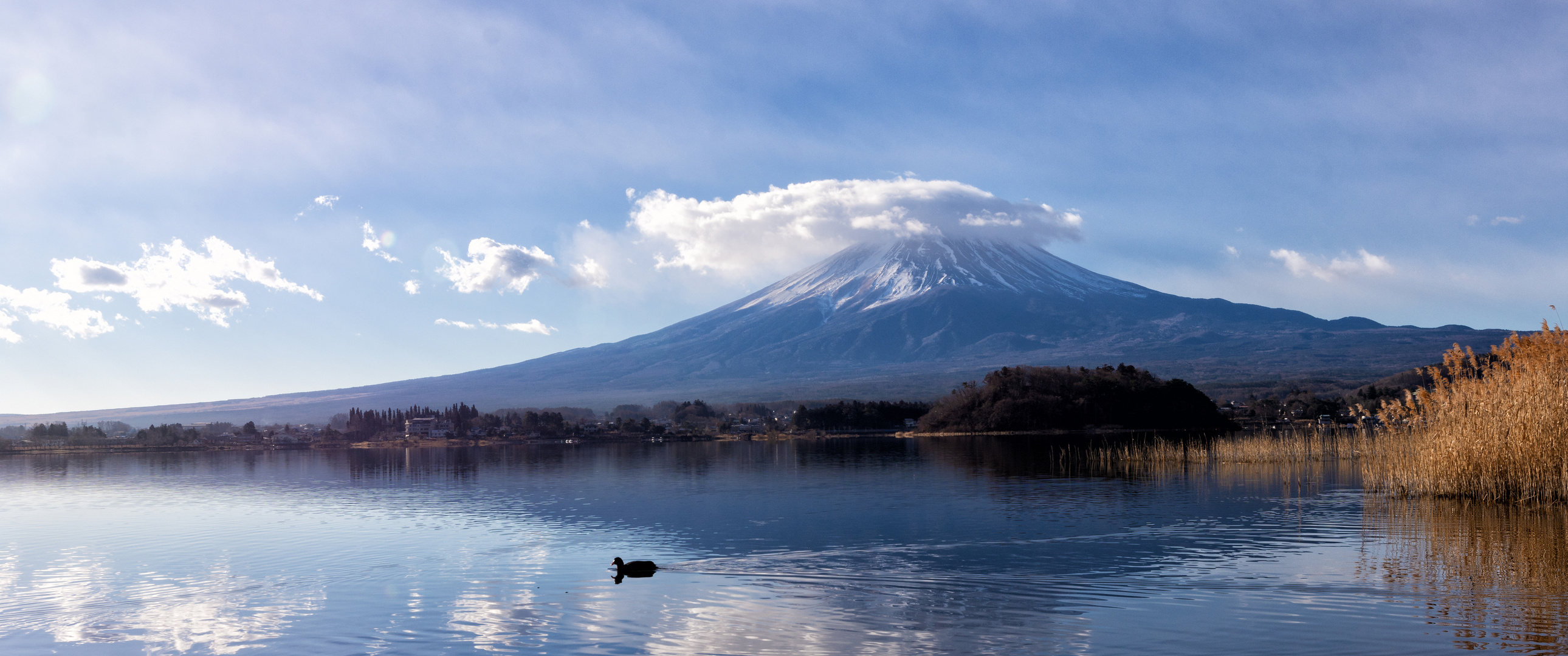 fuji2