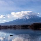 fuji2