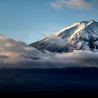 fuji.san