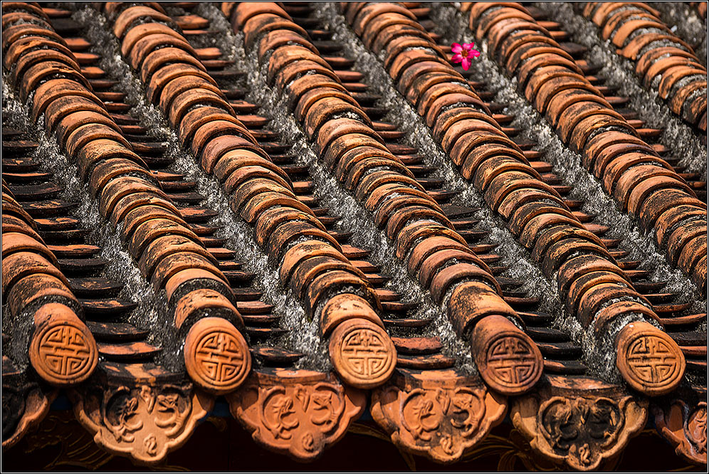 Fukian Assembly Hall (Phuc Kien) in Hoi An