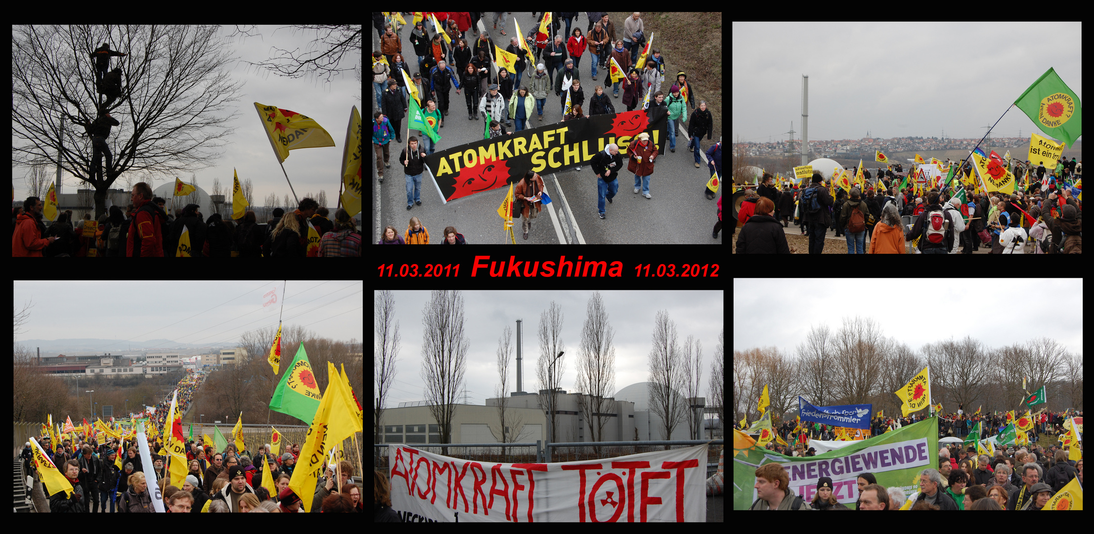 ... Fukushima ...